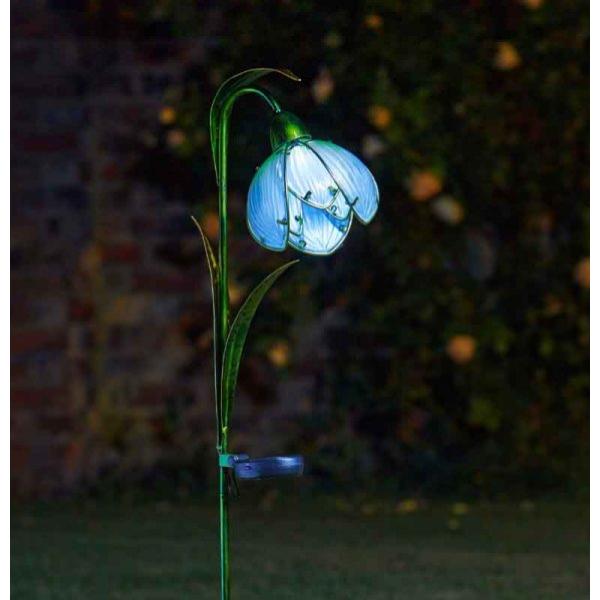 Smart Garden Snowdrop