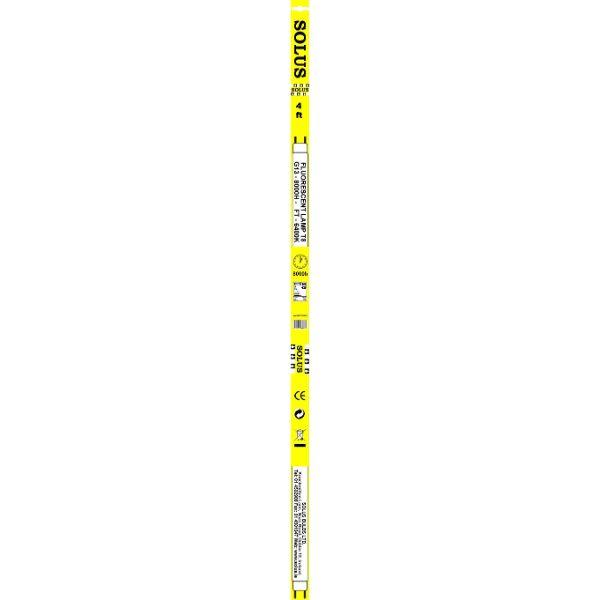 Solus 36W G13 T8 4FT Flourescent Tube