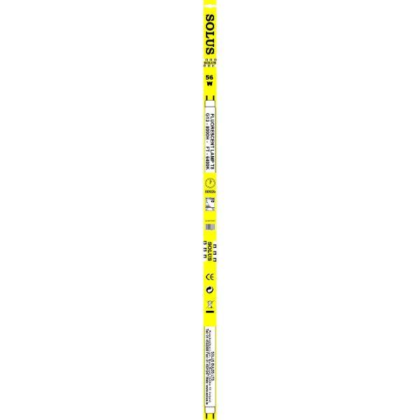 Solus 58W G13 T8 5FT Flourescent Tube