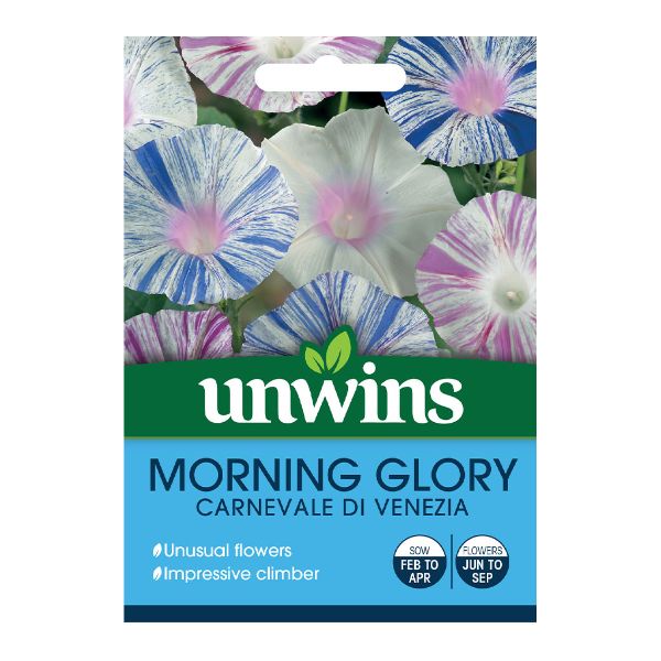 Unwins Seed Packet Morning Glory Carnevale Di Venezia