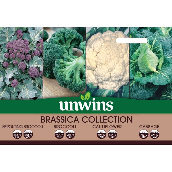 Unwins Seed Packet Brassica Collection 4 In 1