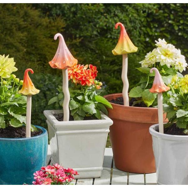 Smart Garden Elvedon Wizard&