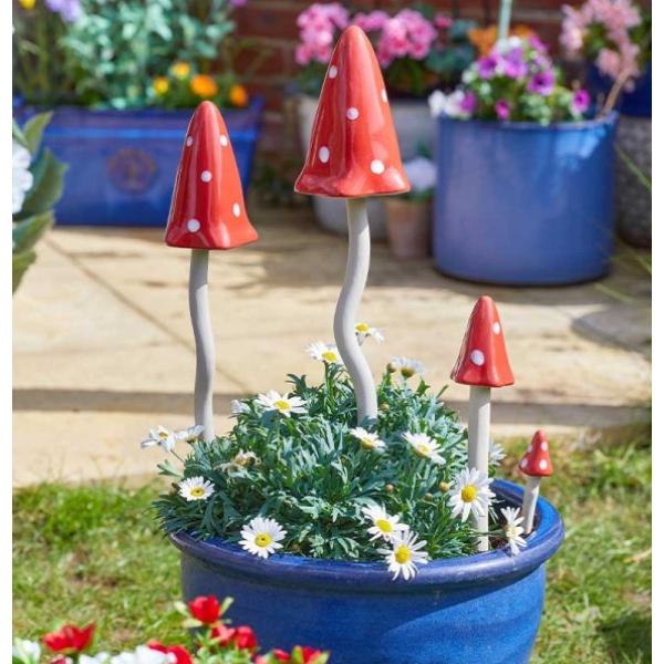 Smart Garden Elvedon Ginormous Fungus