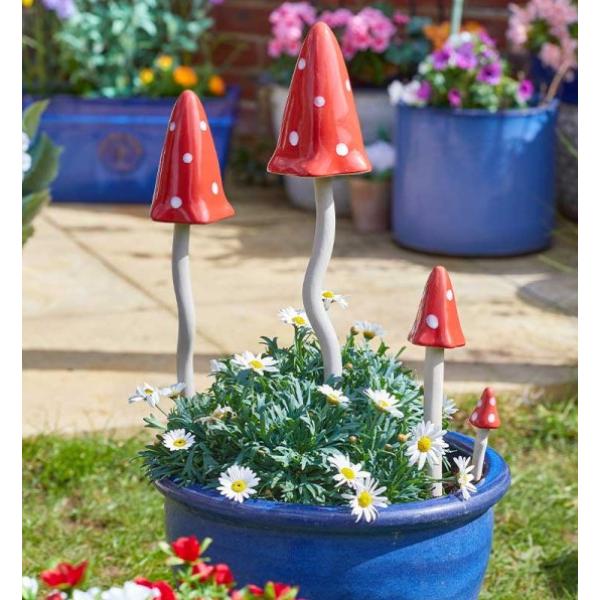 Smart Garden Elvedon Humongous Fungus