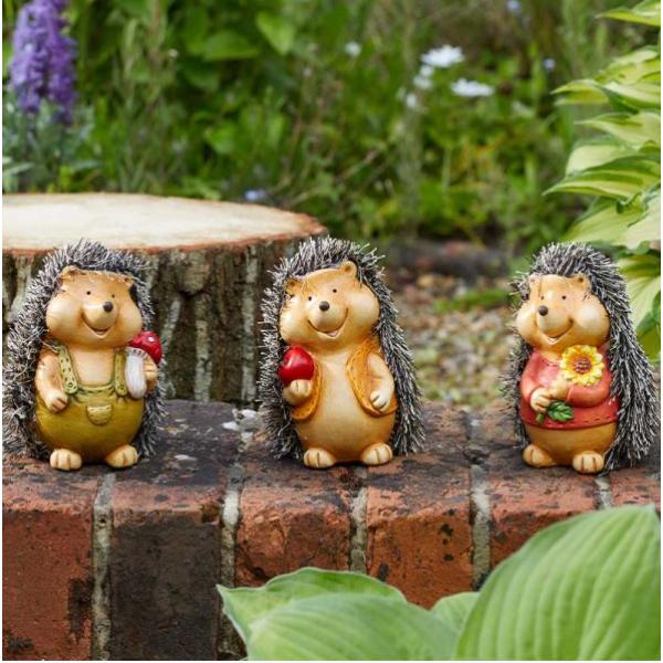 Smart Garden Flamboya Baby Hoglet