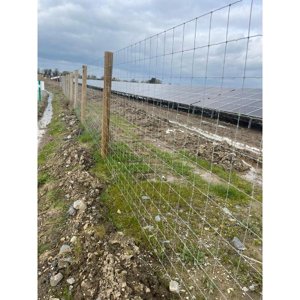 Solar Farm & Deer Wire Stiff Knot 13/190/15 (100M)