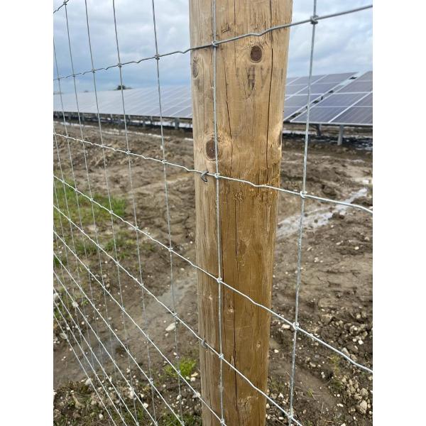 Solar Farm & Deer Wire Stiff Knot 13/190/15 (250M)