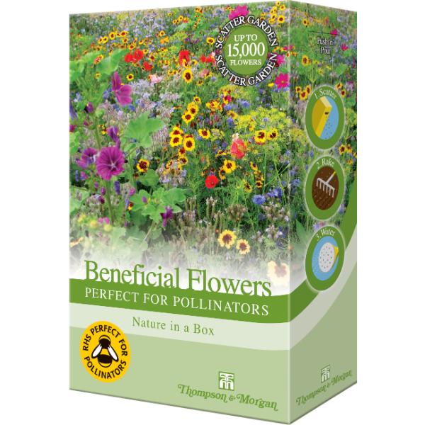 Beneficial Flowers Perfect for Pollinators