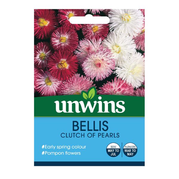 Unwins Seed Packet Bellis Clutch Of Pearls