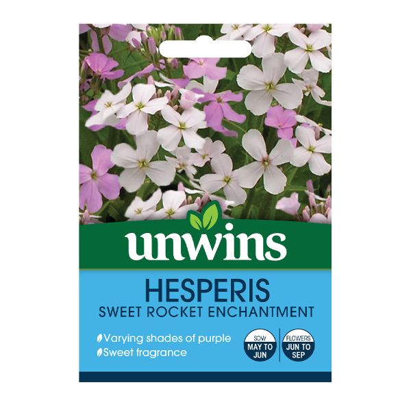 Unwins Seed Packet Hesperis Sweet Rocket Enchantment
