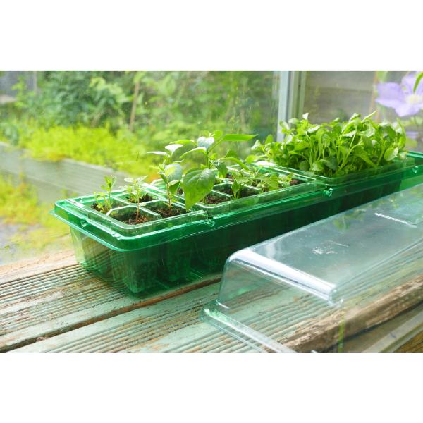 Crest Windowsill Greenhouse