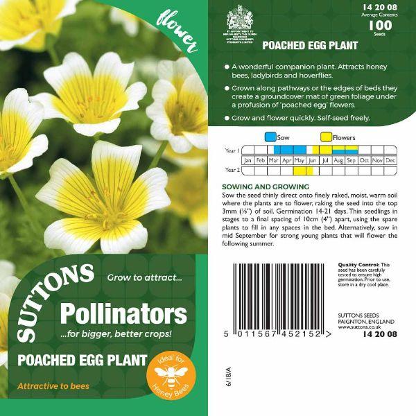 P & P - Poached Egg Plant