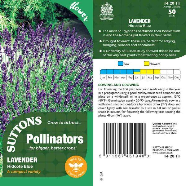 P & P - *Lavender Hidcote Blue