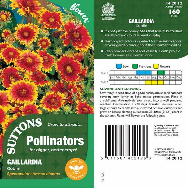 P & P - Gaillardia Goblin