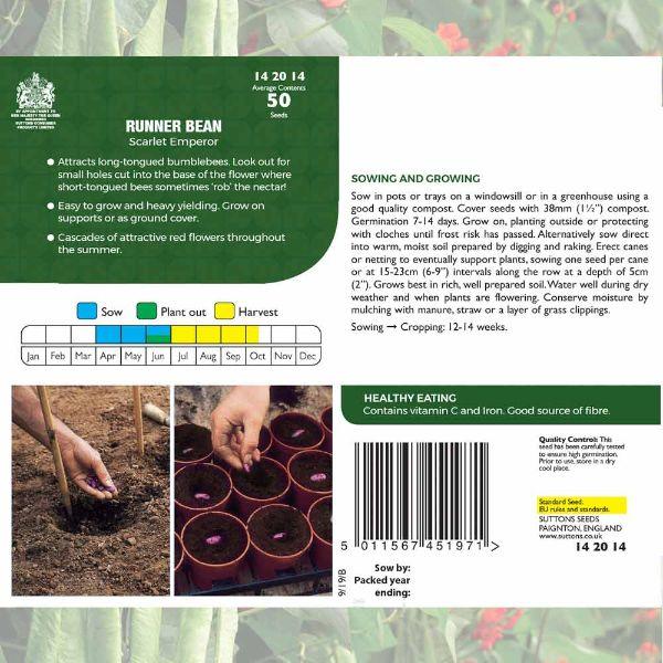 P & P - Runner Bean Scarlet Emperor
