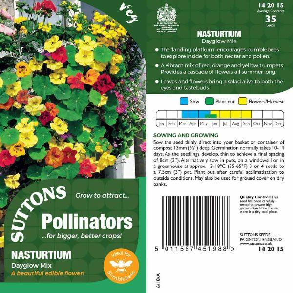 P & P - *Nasturtium Dayglow