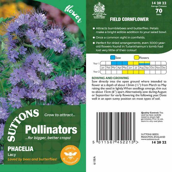 P & P - Field Cornflower