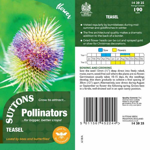 P & P - Teasel
