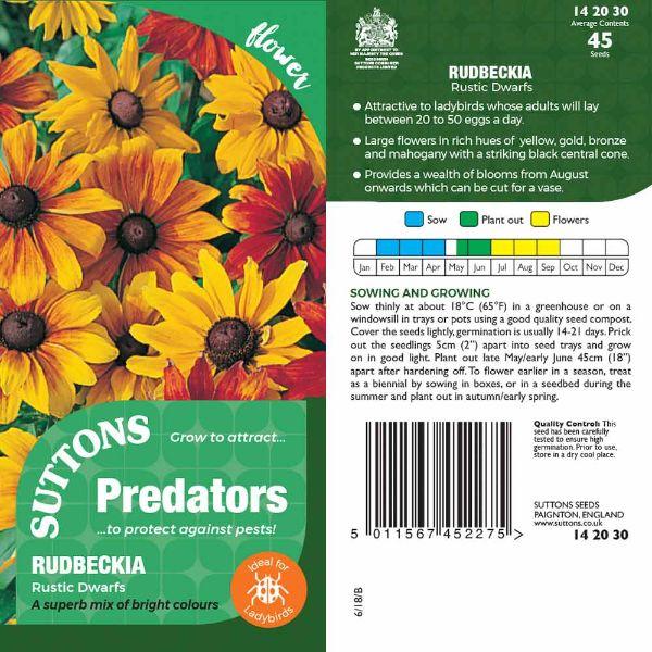 P & P - Rudbeckia Rustic Dwarfs
