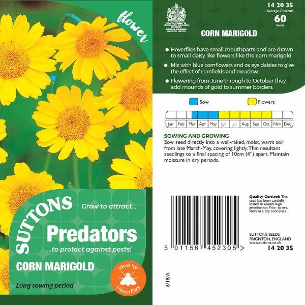 P & P - Corn Marigold