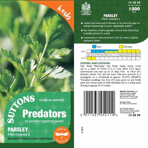 P & P - Parsley Plain Leaved 2