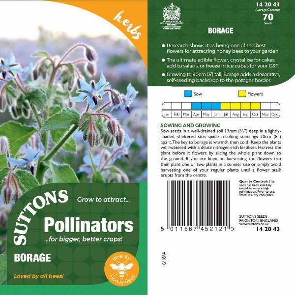 P & P - Borage