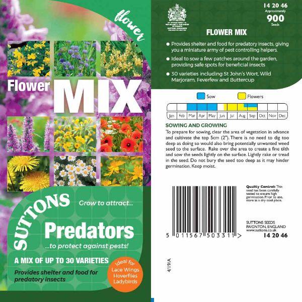 P & P - Predators Flower Mix