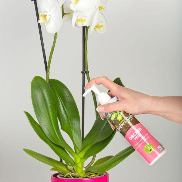 Hygeia Nature Safe Orchid Feed 250ml