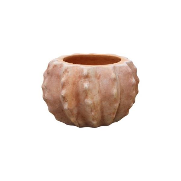 Cactus-Gai Planter D25H16