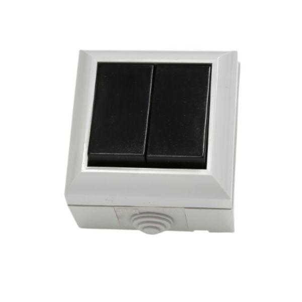 Damp Proof Switch 2 Gang (1)