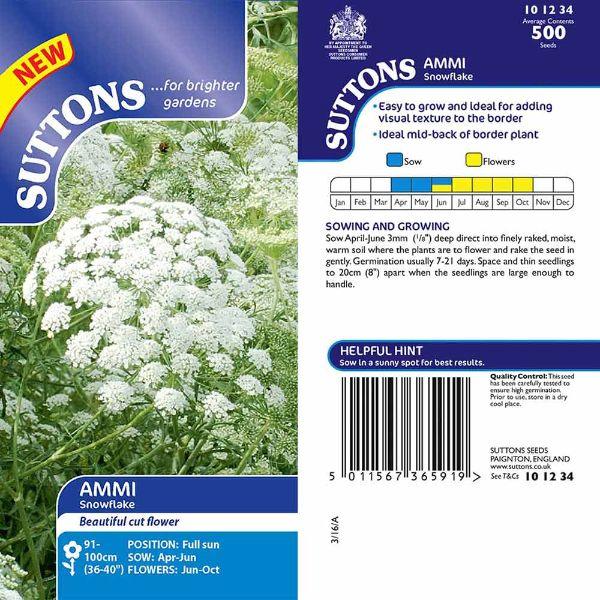Ammi Snowflake