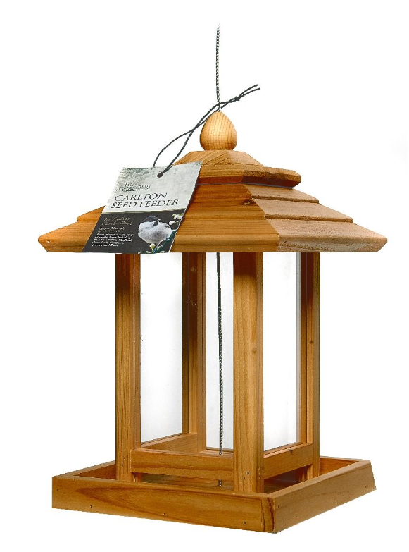 Tom Chambers Carlton Seed Feeder