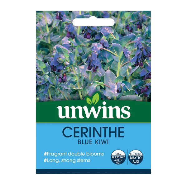 Unwins Seed Packet Cerinthe Blue Kiwi