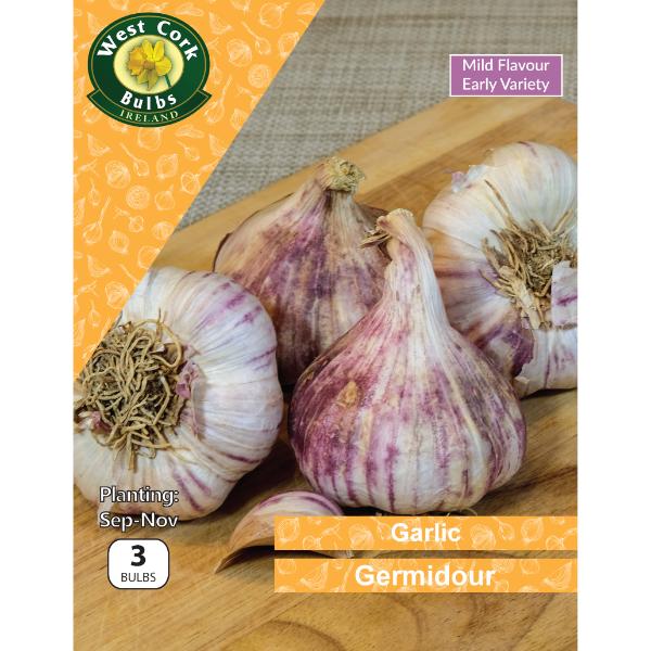 West Cork Bulbs Garlic Germidour 3 Bulbs Purple Garlic