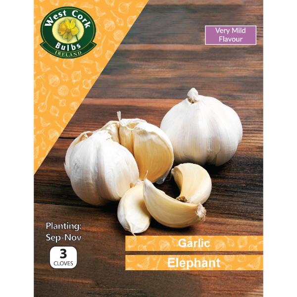 West Cork Bulbs Garlic Elephant 3 Cloves