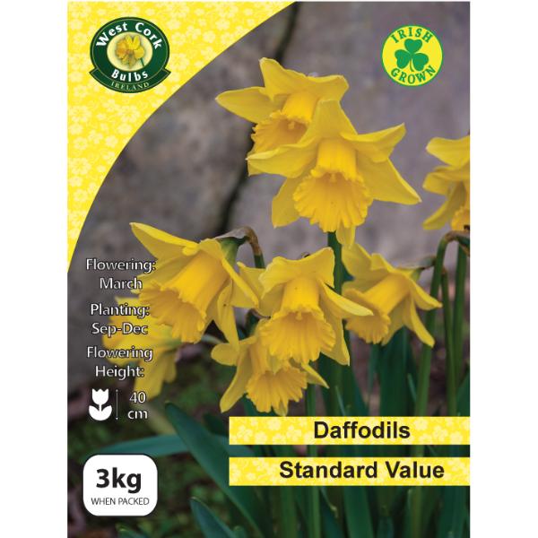 West Cork Bulbs Daffodil Standard Value 3kg