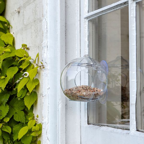 Peckish Globe Window Feeder