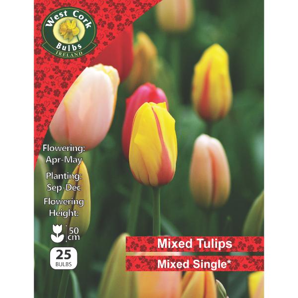West Cork Bulbs Mixed Single Tulips 25 Bulbs