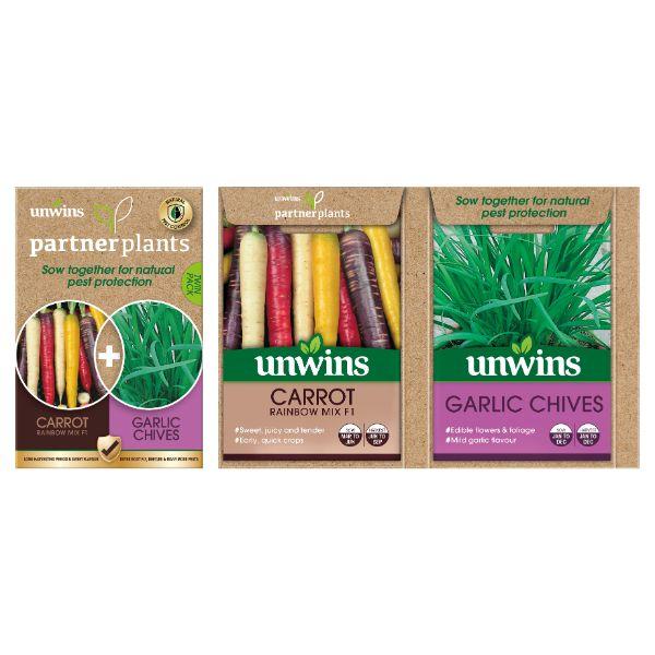 Partner Plants Carrot Garlic Chives