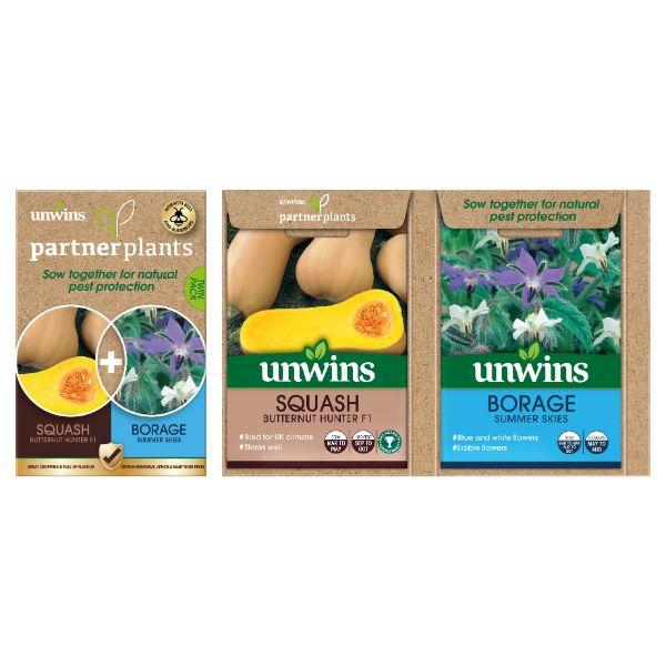 Partner Plants Squash Borage