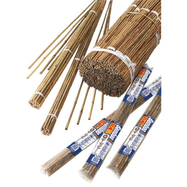 Grow It Bamboo Canes Bulk Bundle 150Cm 5&