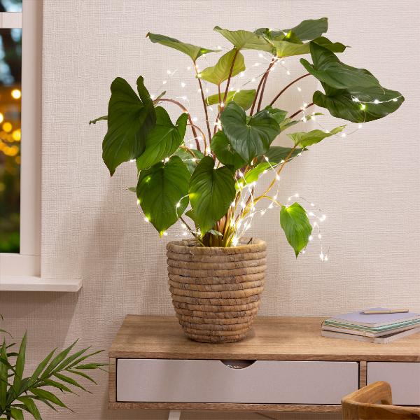 Micro LED plant lights Battery operated - outdoor