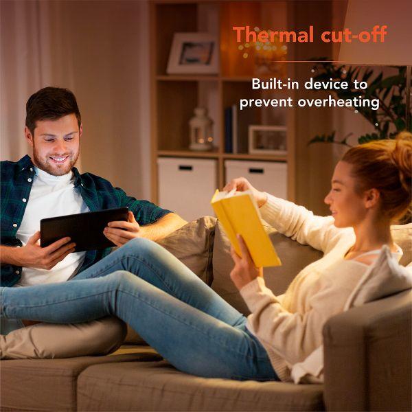 2Kw Alloa Log Fire Stove