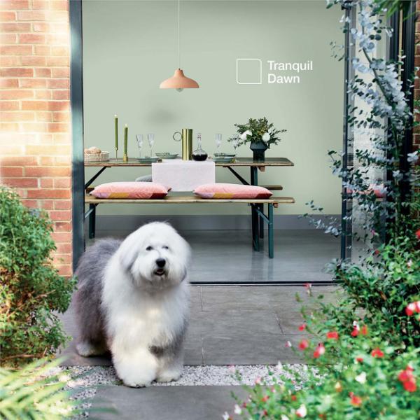 Dulux Walls & Ceilings Soft Sheen Tranquil Dawn 5L