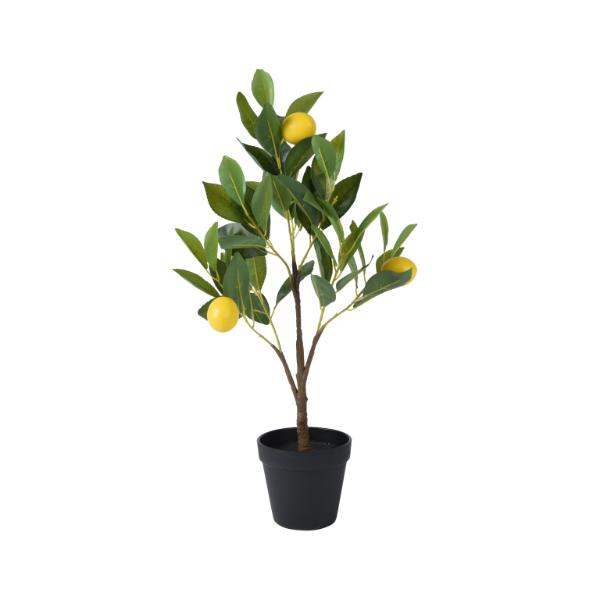 Lemon In Plastic Pot 60cm