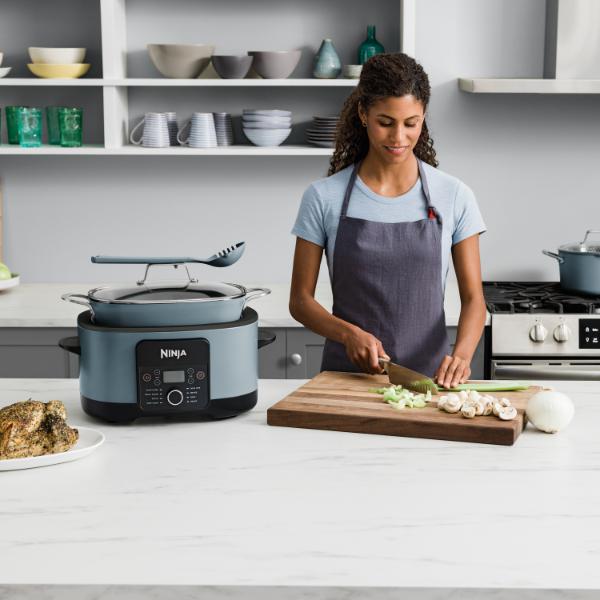 Ninja Foodi Possible Cooker