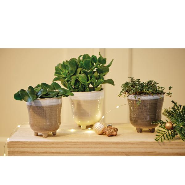 Planter terracotta
