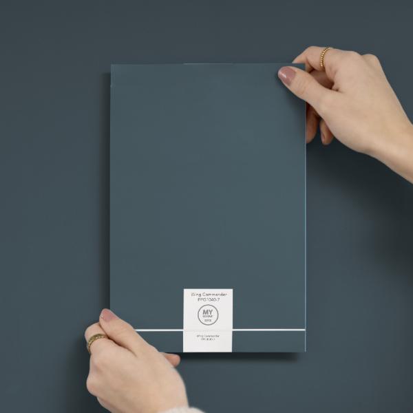 My Colour Peel & Stick Wing Commander