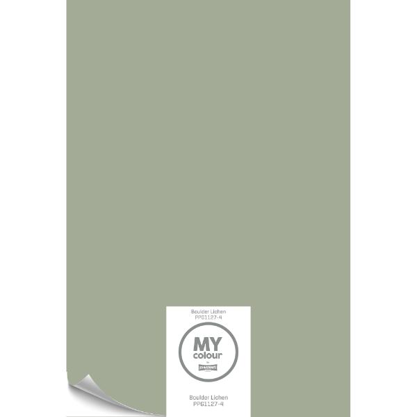 My Colour Peel & Stick Boulder Lichen