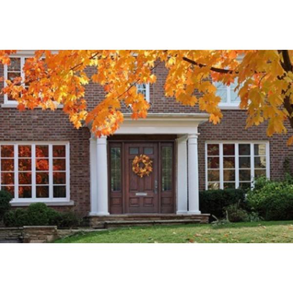 50cm Cone and Berry Wreath